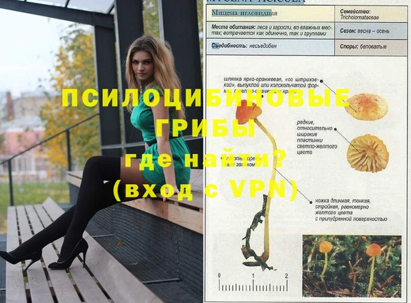 гидропоника Нягань