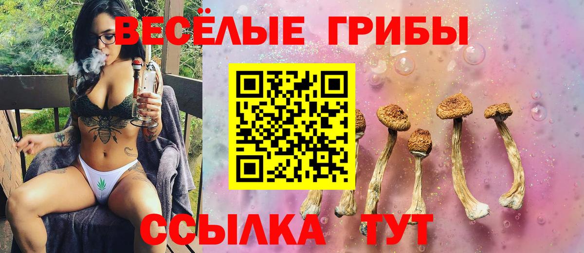 Куйбышев  как найти   Вход с VPN  Псилоцибиновые грибы мицелий 