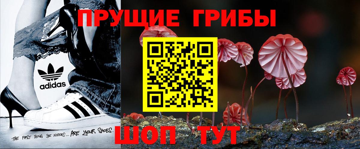 Псилоцибиновые грибы Psilocybine cubensis Куйбышев