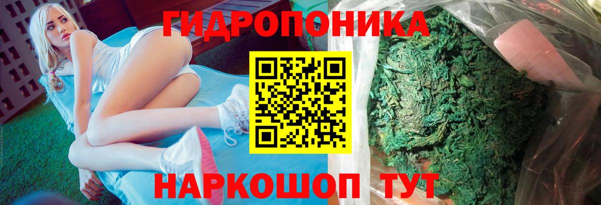 Бошки марихуана марихуана  Марихуана марихуана  Конопля марихуана  Куйбышев  Вход с VPN 